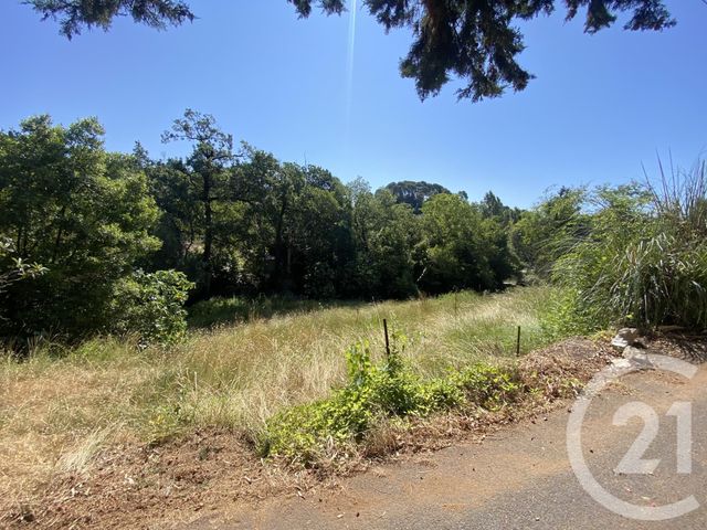 terrain à vendre - 1350.0 m2 - MOUGINS - 06 - PROVENCE-ALPES-COTE-D-AZUR - Century 21 Mistral L'Agence
